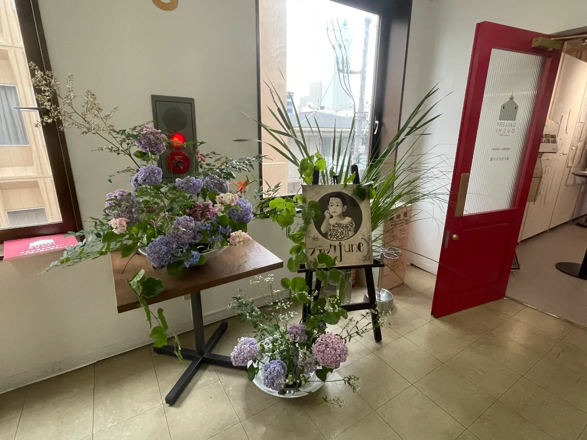 展示